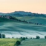 tuscany-20120510-0532