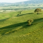 tuscany-20120510-0733