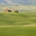 tuscany-20120511-0911