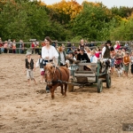 20121006-2917-toulcuv-dvur